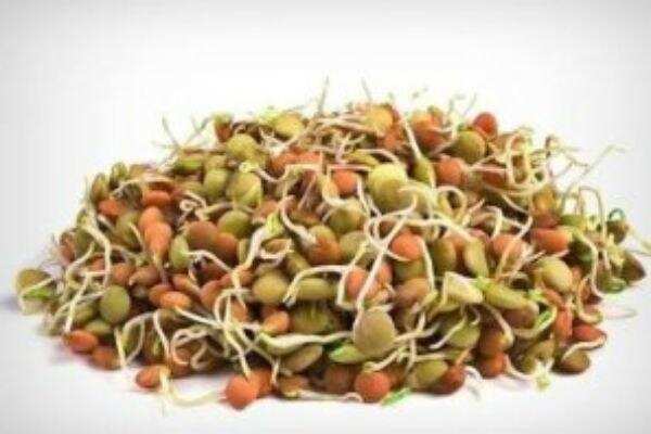 வெறும் வயிற்றில் முளைக்கட்டிய தானியங்களை சாப்பிடலாமா?