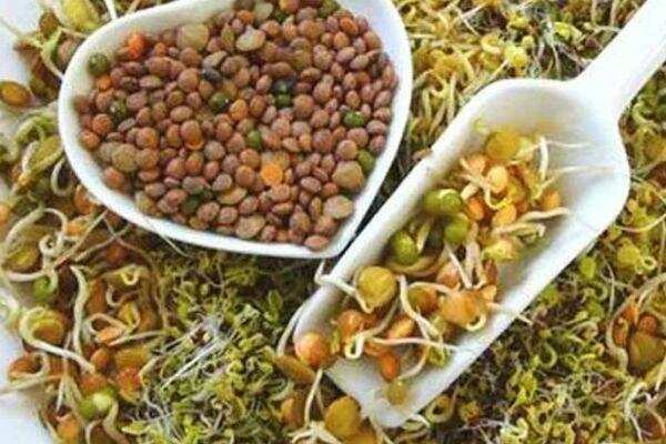 வெறும் வயிற்றில் முளைக்கட்டிய தானியங்களை சாப்பிடலாமா?