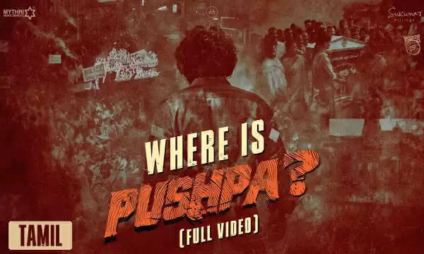 pushpa 2 glimpse